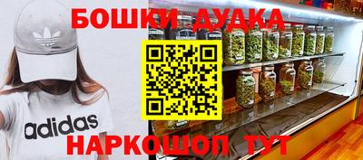 мдпв Будённовск