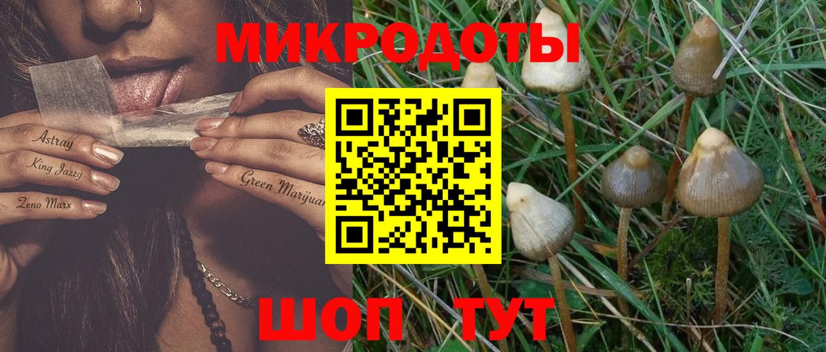 Галлюциногенные грибы прущие грибы Якутск