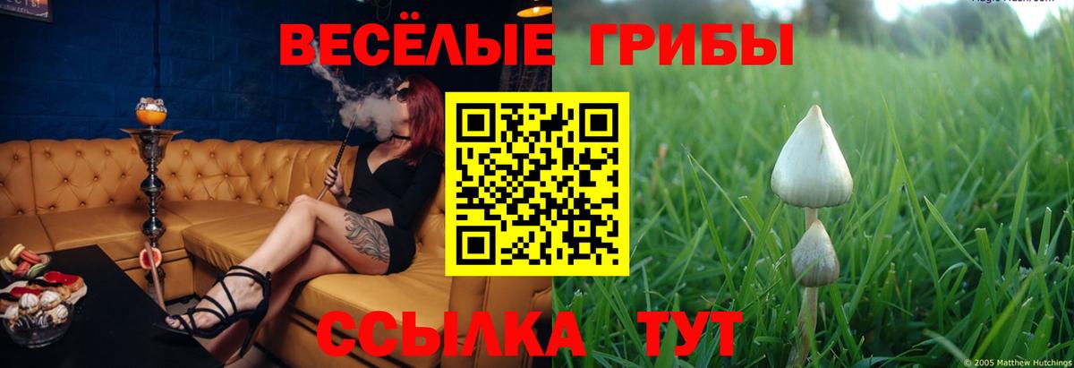 Якутск  Псилоцибиновые грибы Cubensis  Вход с VPN  Псилоцибиновые грибы прущие грибы 